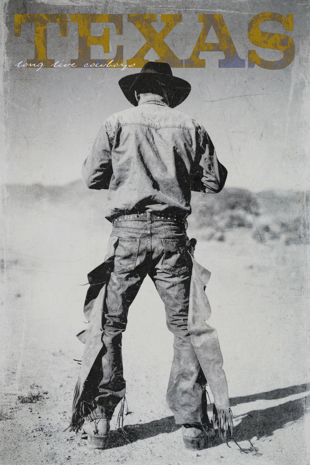 Texas Cowboy