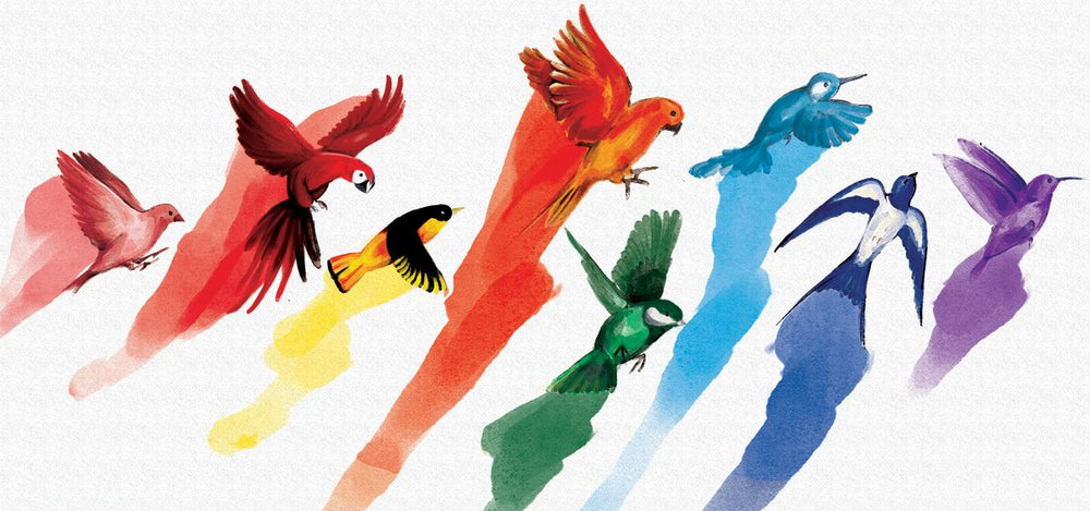 Rainbow Pride Birds