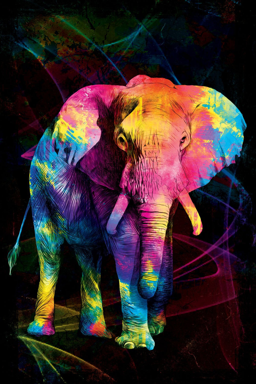 African Elephant Colors