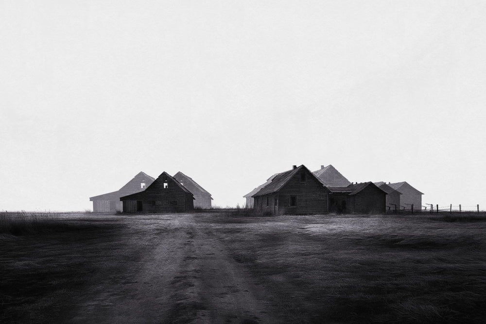 Road To Barns
