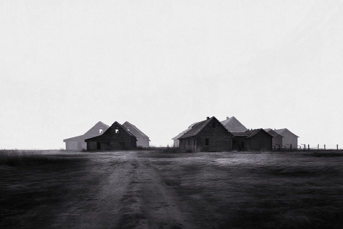 Road To Barns