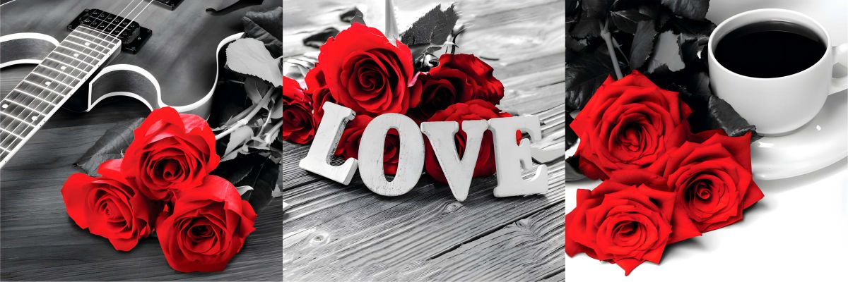 Love Roses Pop