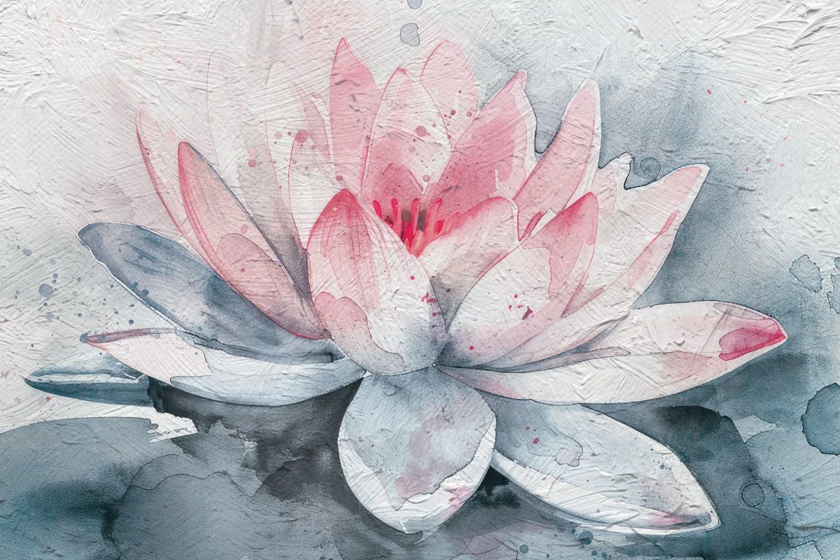 A Blooming Lotus