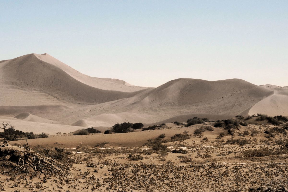 Vast Golden Dunes