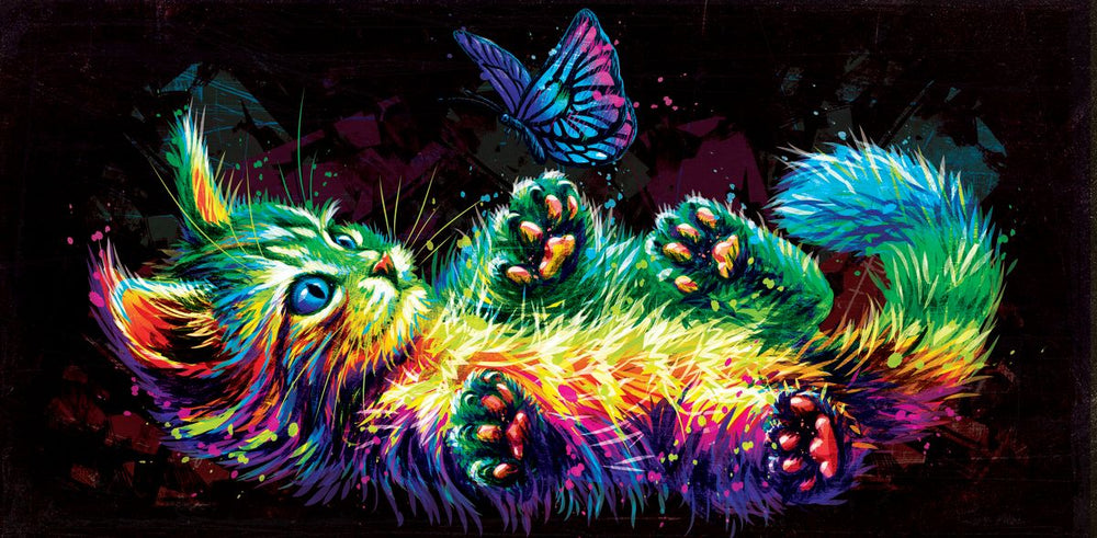 Colorful Kitty And Butterfly
