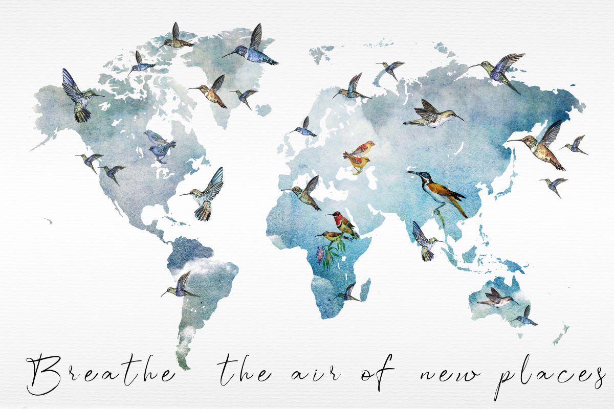 Birds World Map