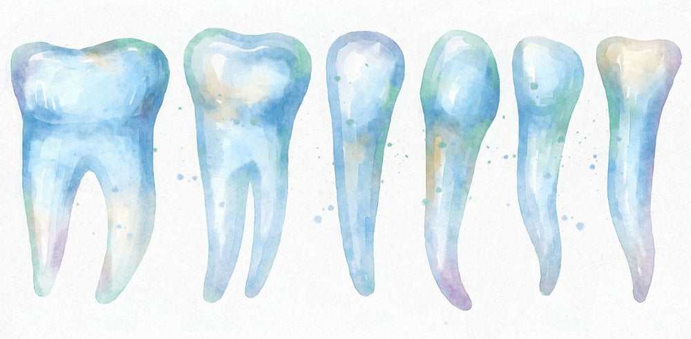 Dental Row