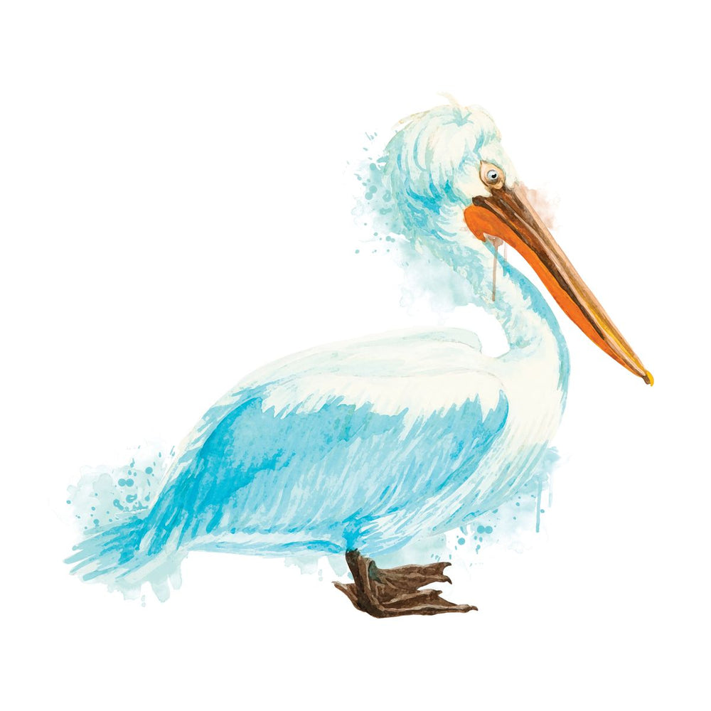 White Pelican Profile