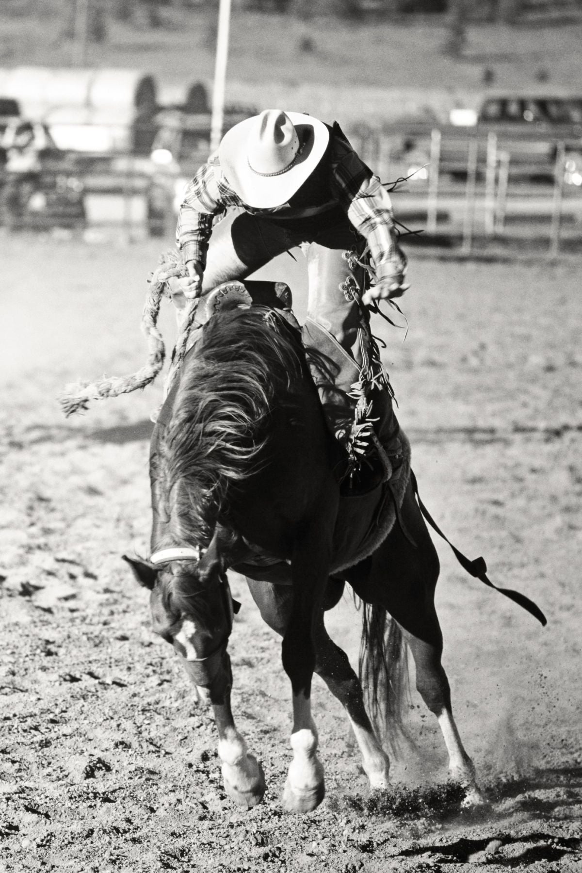 Bronc Riding