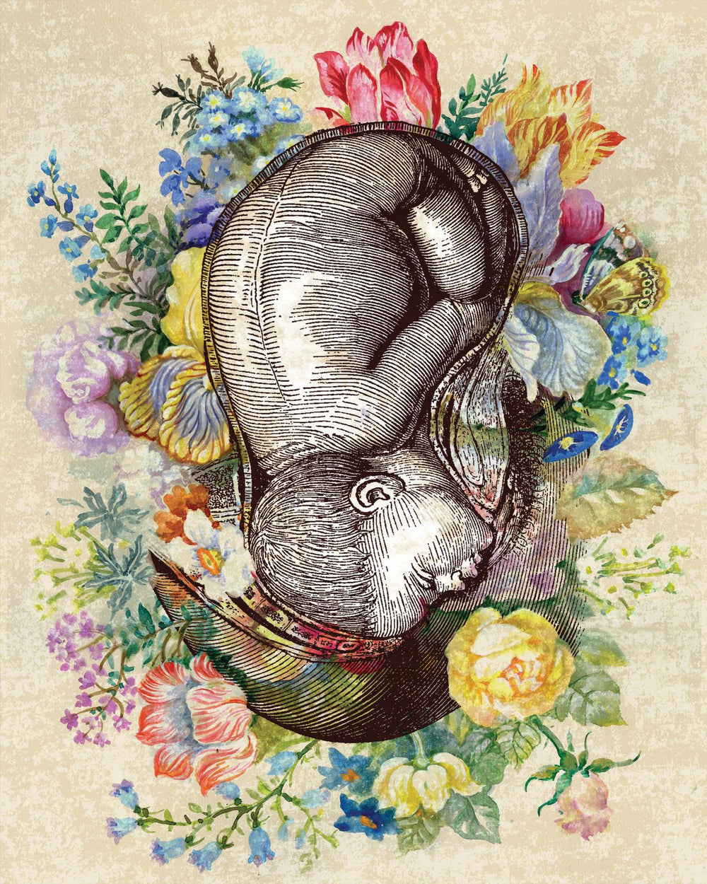 Womb Floral