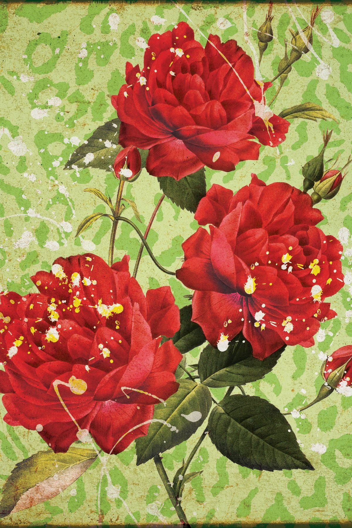 Antique Red Roses