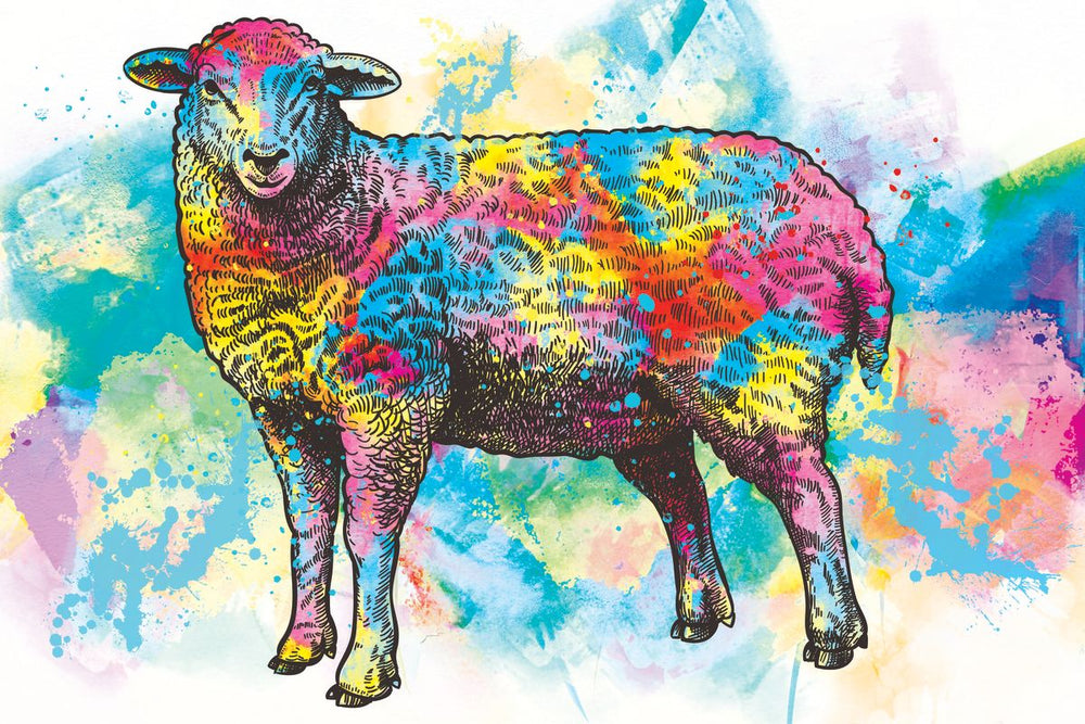 Sheep Paint Splash