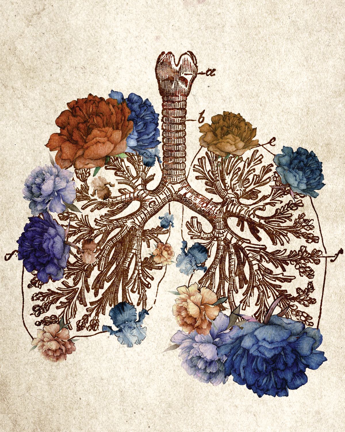 Human Lungs Floral