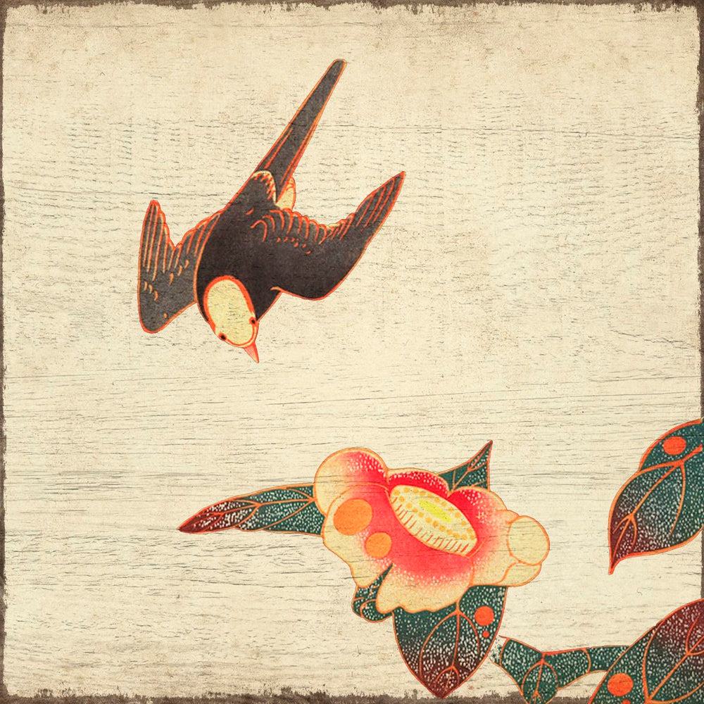 Swallow Approaching A Camellia