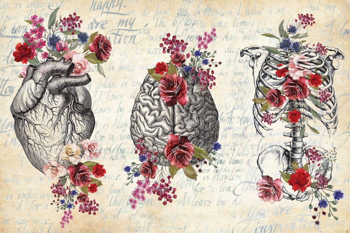 Anatomy Floral