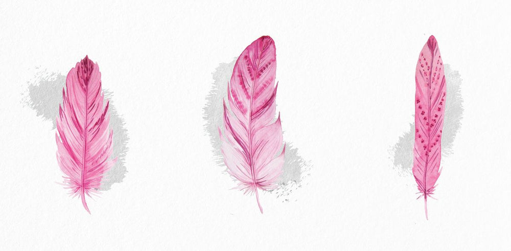 Pink Feathers Trio