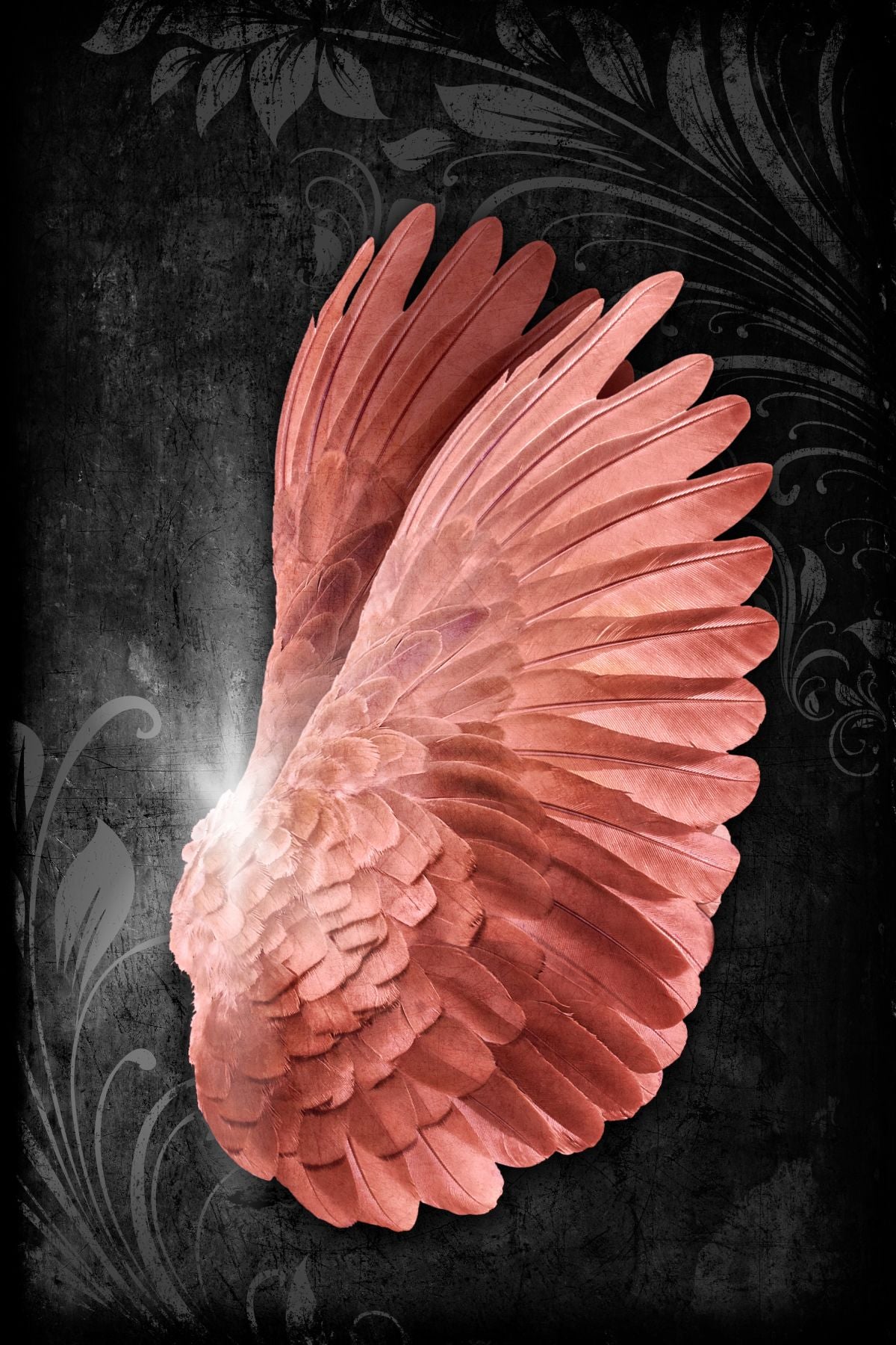 Blush Pink Angel Wings
