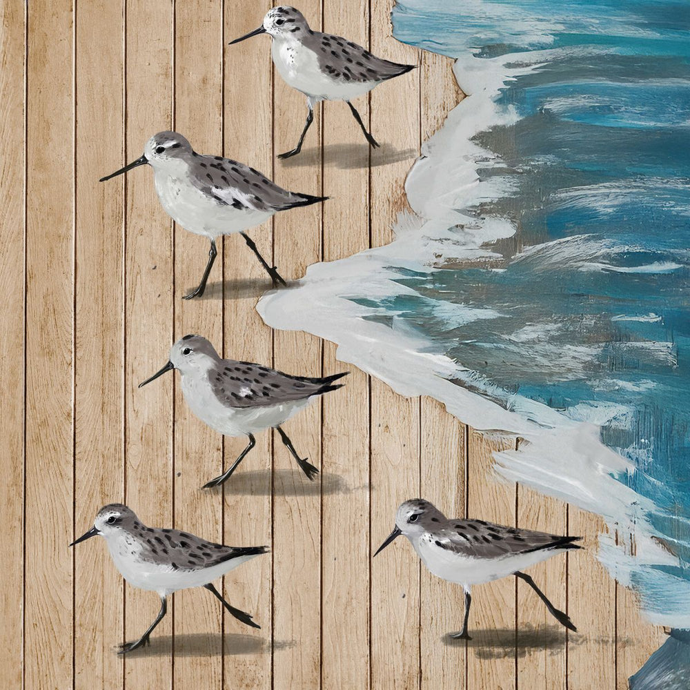 Sanderlings