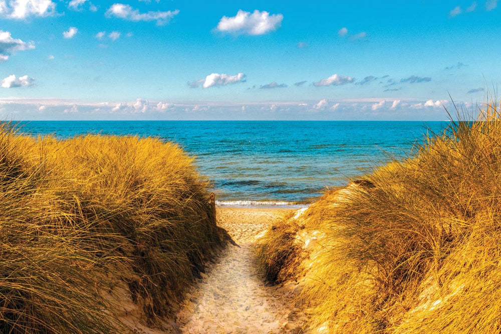 Pomerania Beach Path