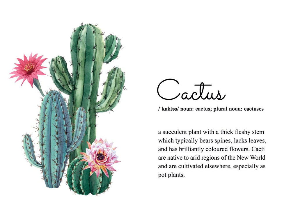 Cactus Definition