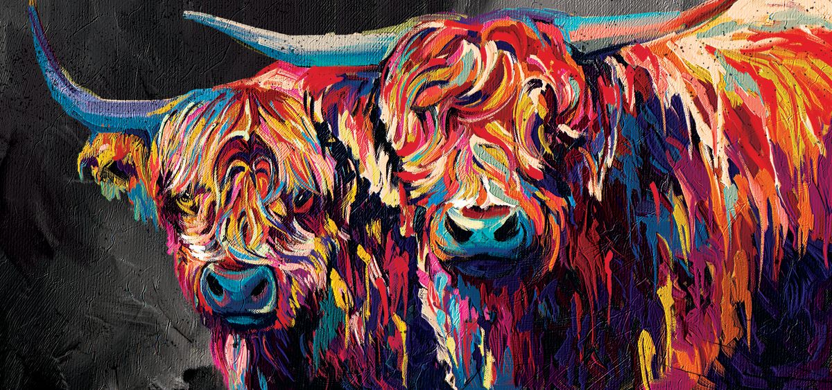 Highland Cow Duo Abstract Color