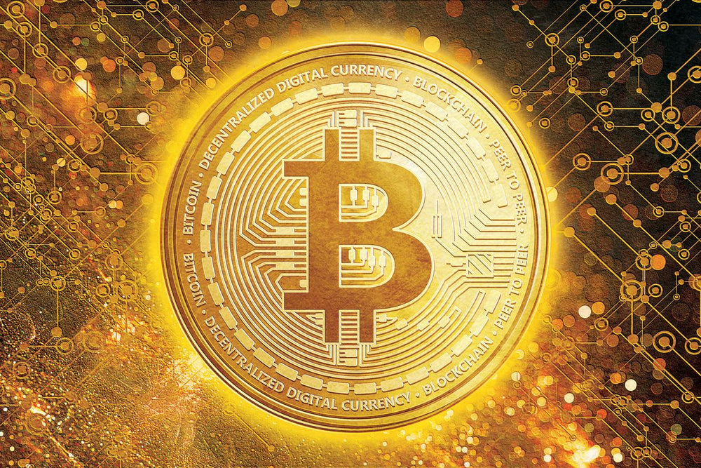 Bitcoin Logo XIII