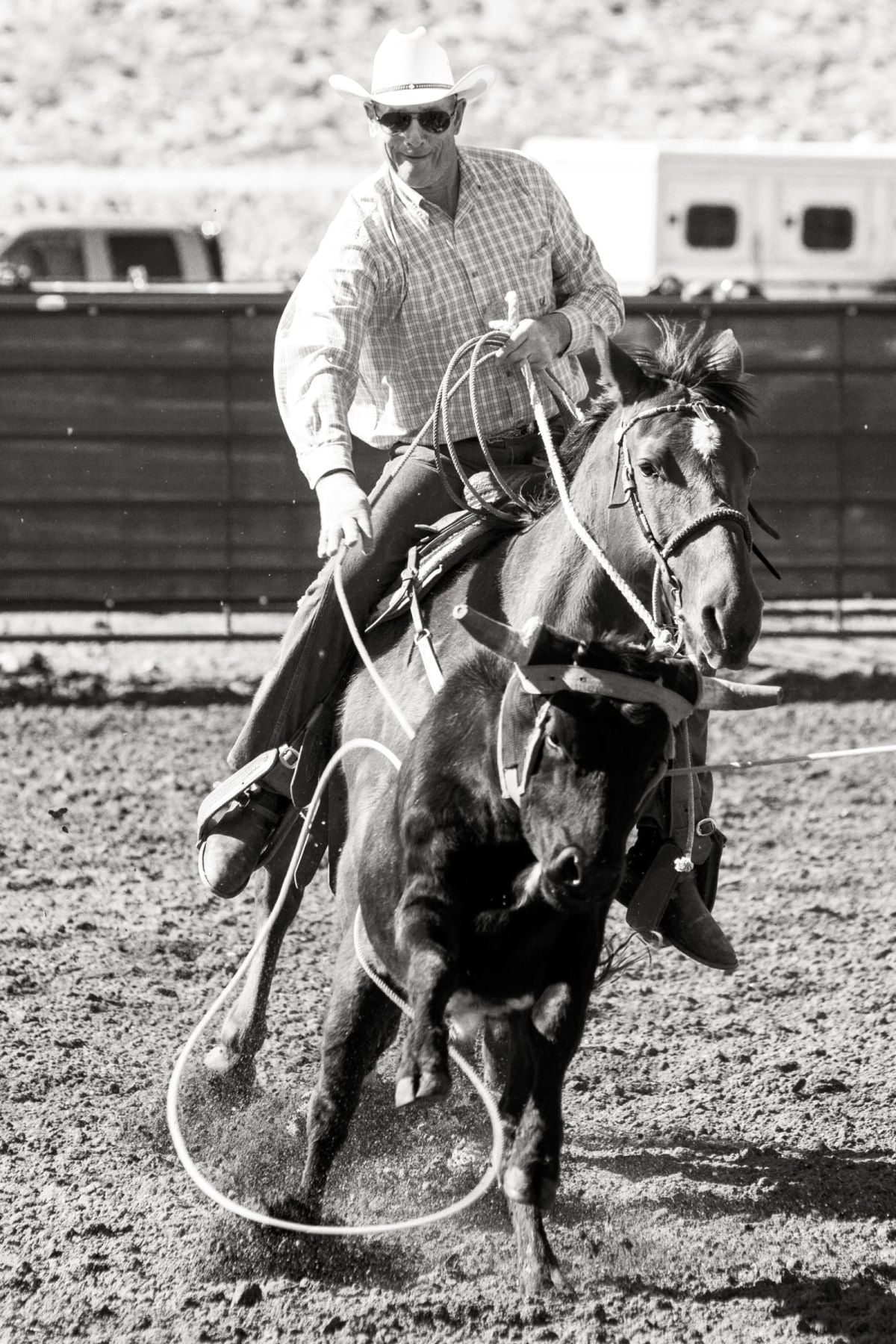 Rodeo Highlight