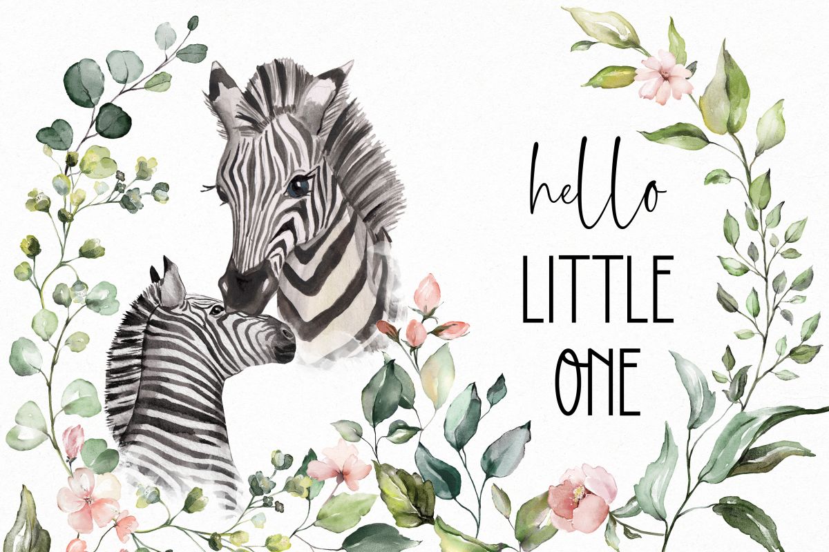 Hello Little Zebra