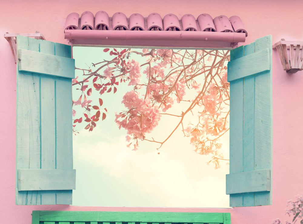 Sakura Window View