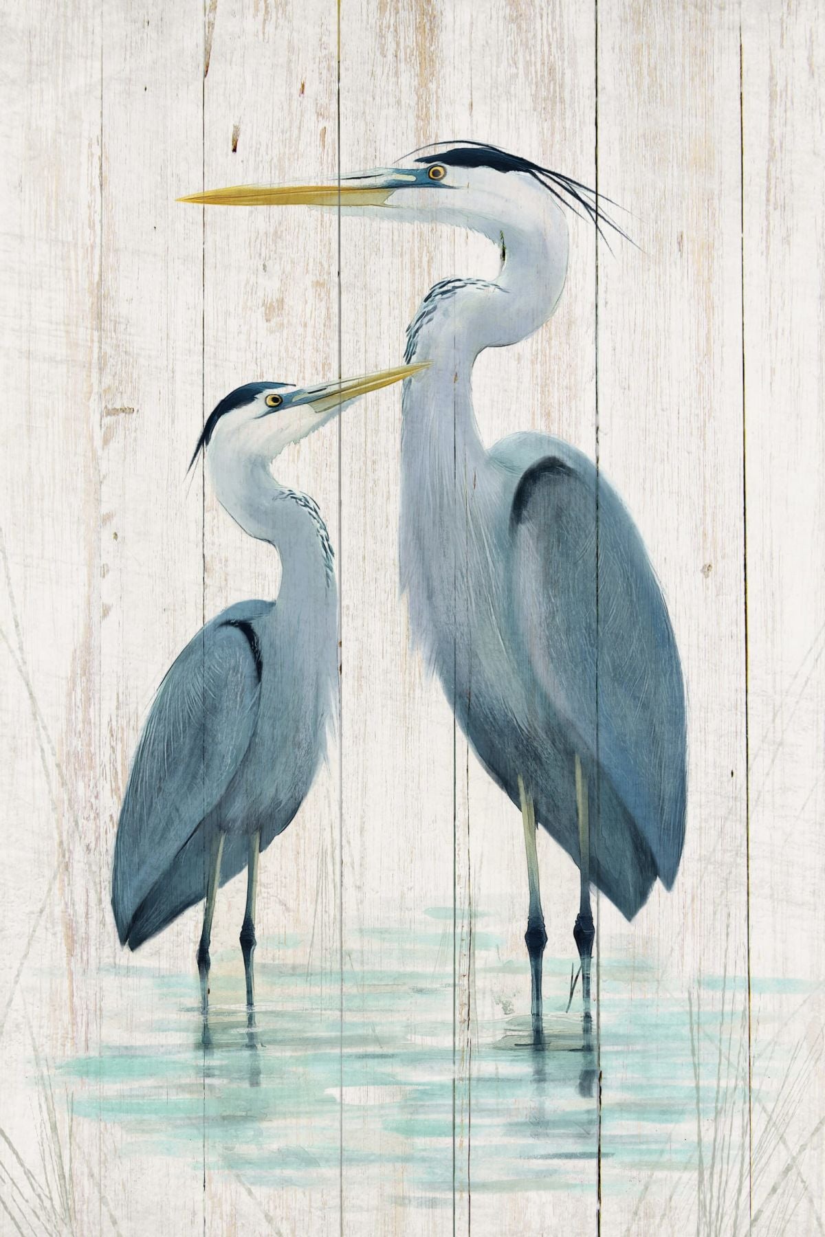 Heron And Child