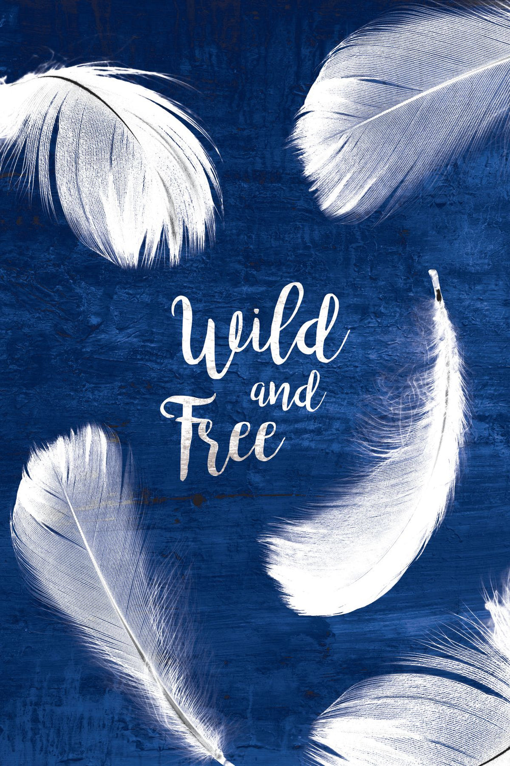 Wild And Free White Feathers