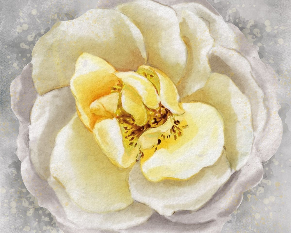 Blooming Yellow Camellia