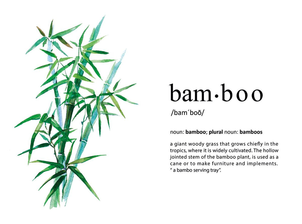 Bamboo Definition