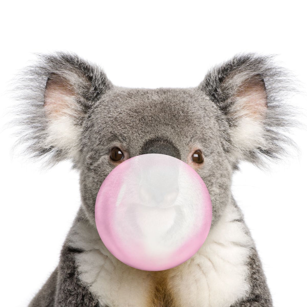 Bubble Gum Koala Bear