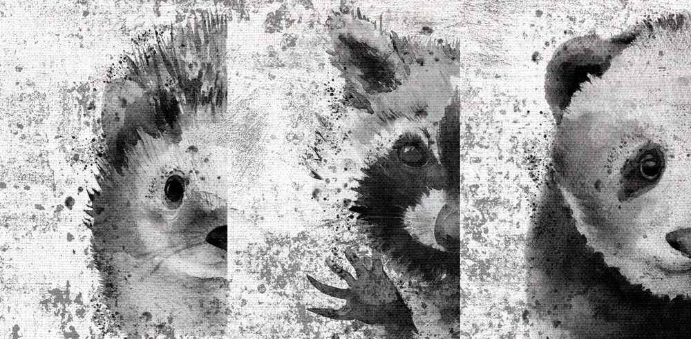 Hedgehog Raccoon Panda Black And White