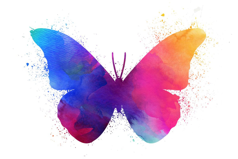Butterfly Vibrant Silhouette