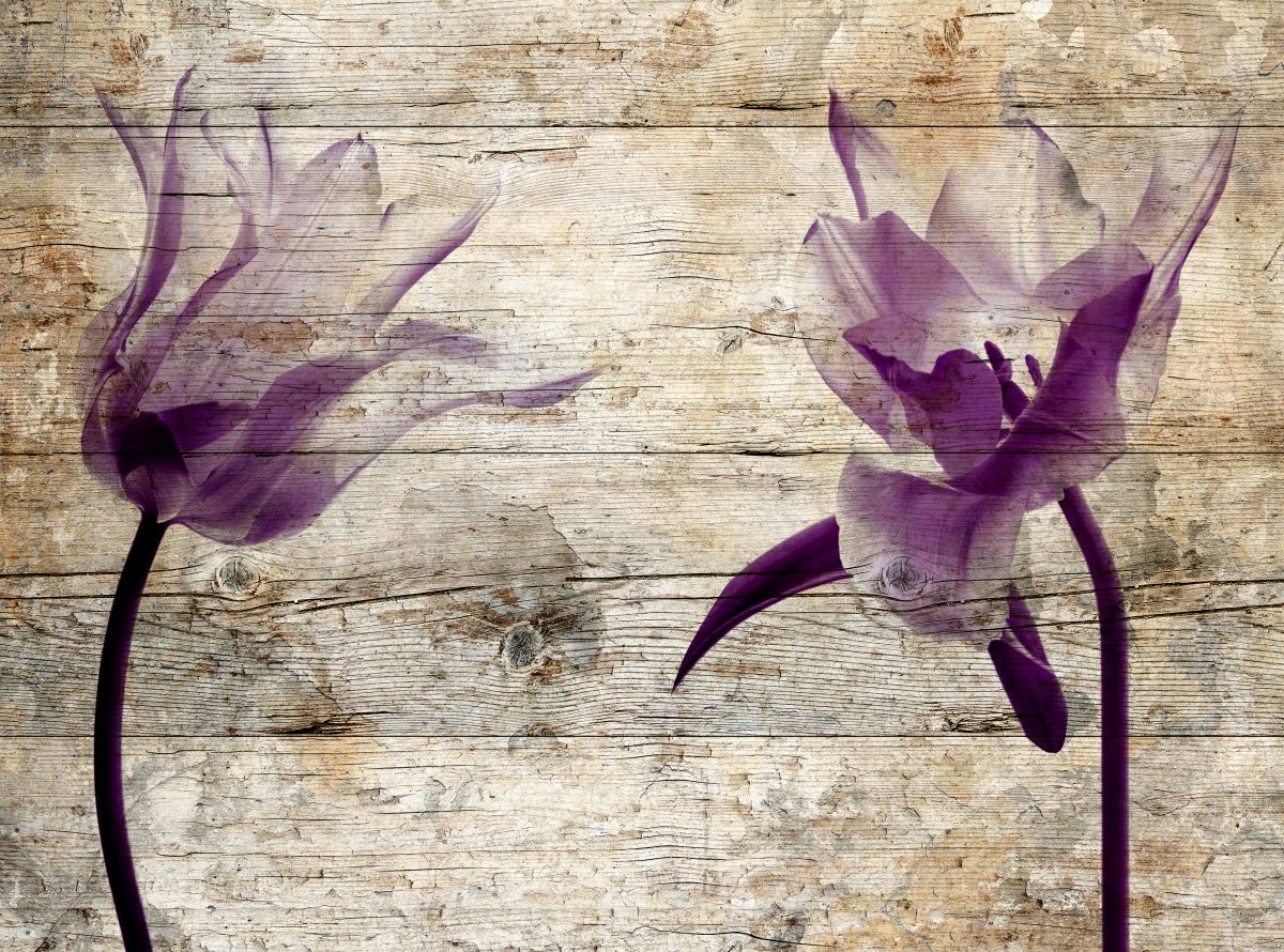 Rustic Purple Tulips On Wood