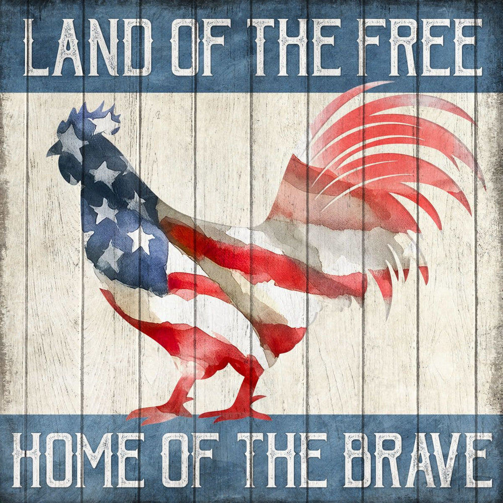 Land Of The Free Home Of The Brave - Chicken