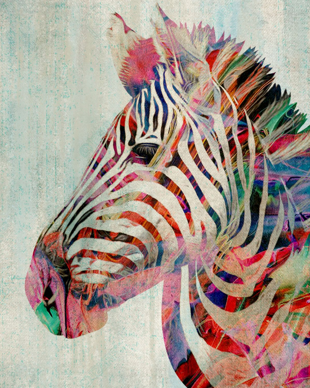 Colorful Zebra