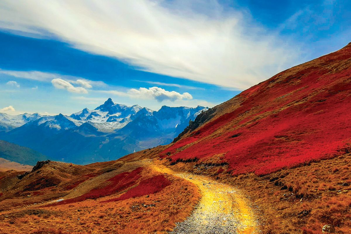 Italian Alps Trail