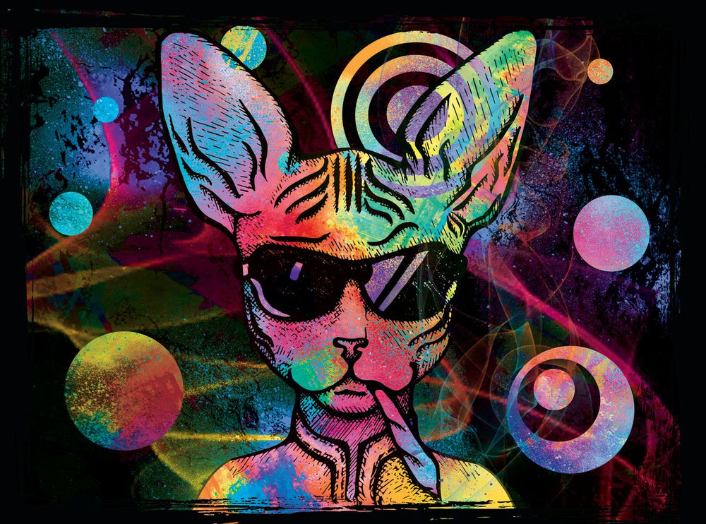 Colorful Mafia Sphynx Cat