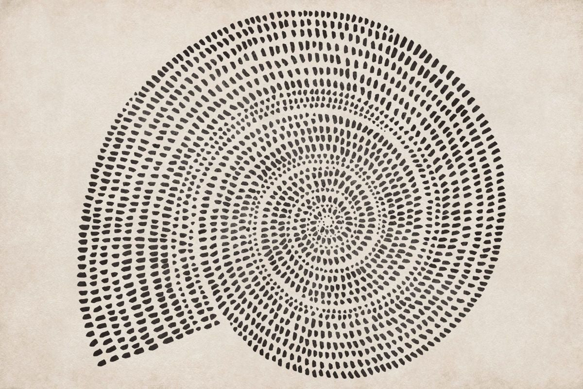 Dotted Ammonite I Wall Art