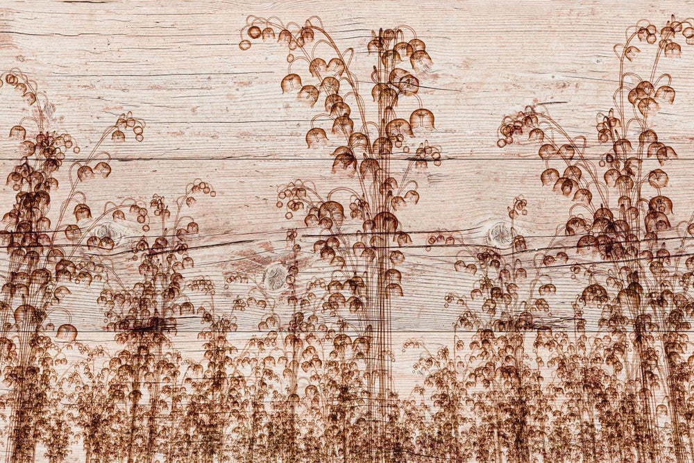 Bellflowers On Wood