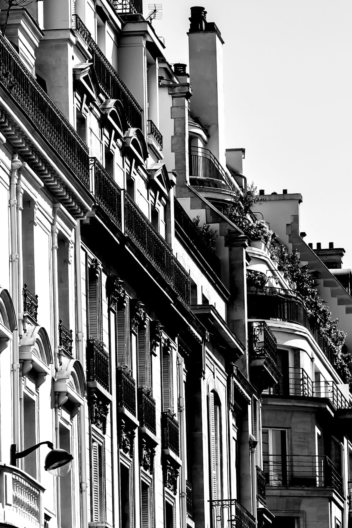 Haussmann-Era Buildings In Paris