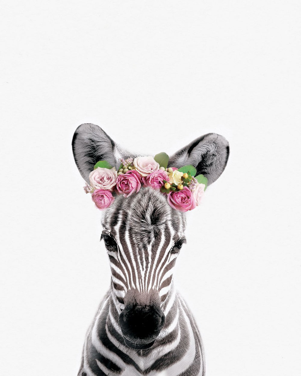 Flower Crown Zebra I