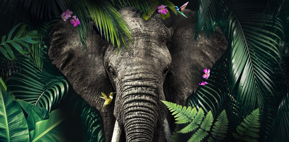 Tropical Jungle Elephant