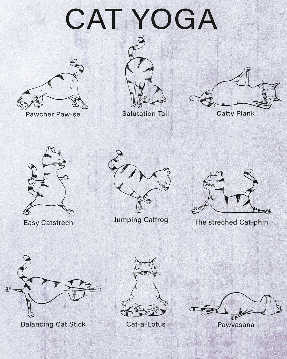 Cat Yoga Chart