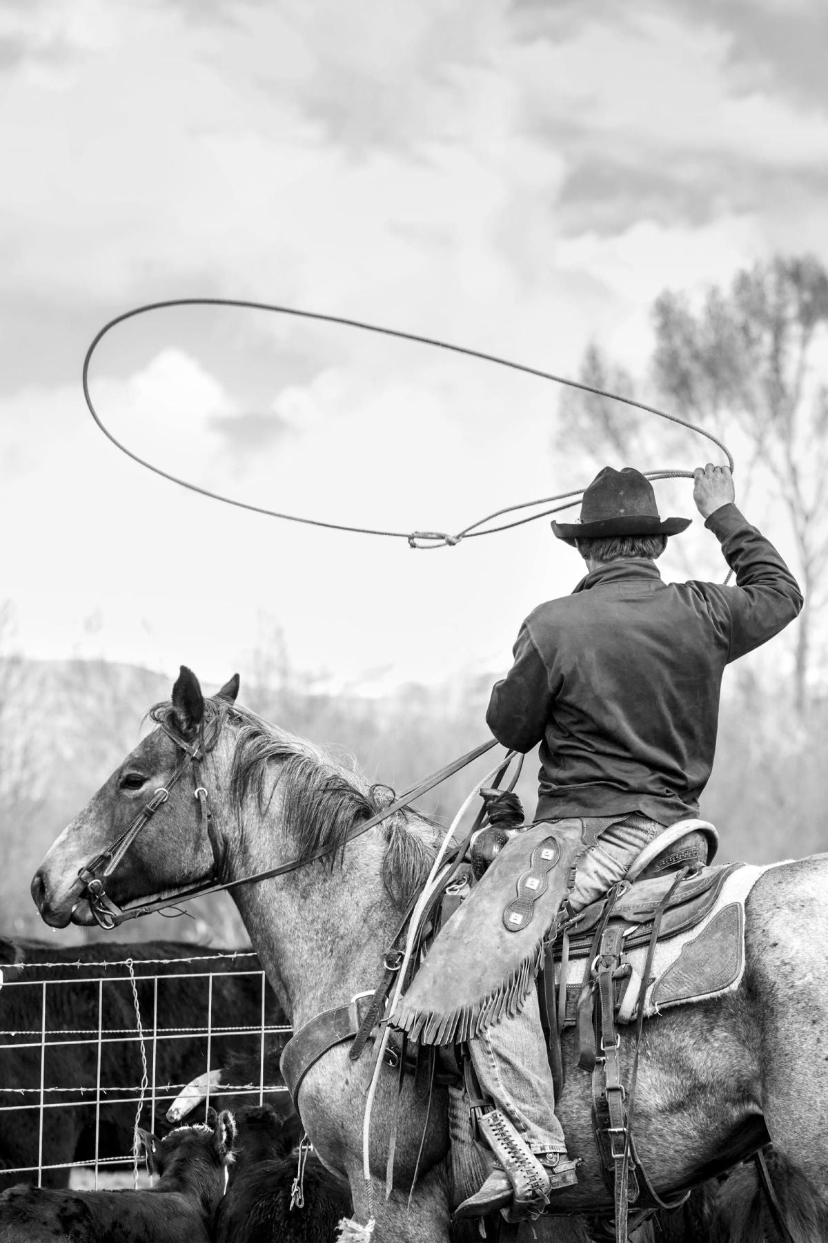 Cowboy Ready To Lasso