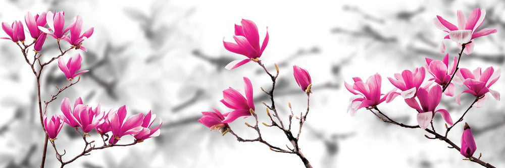 Magnolia Blossoms Pop