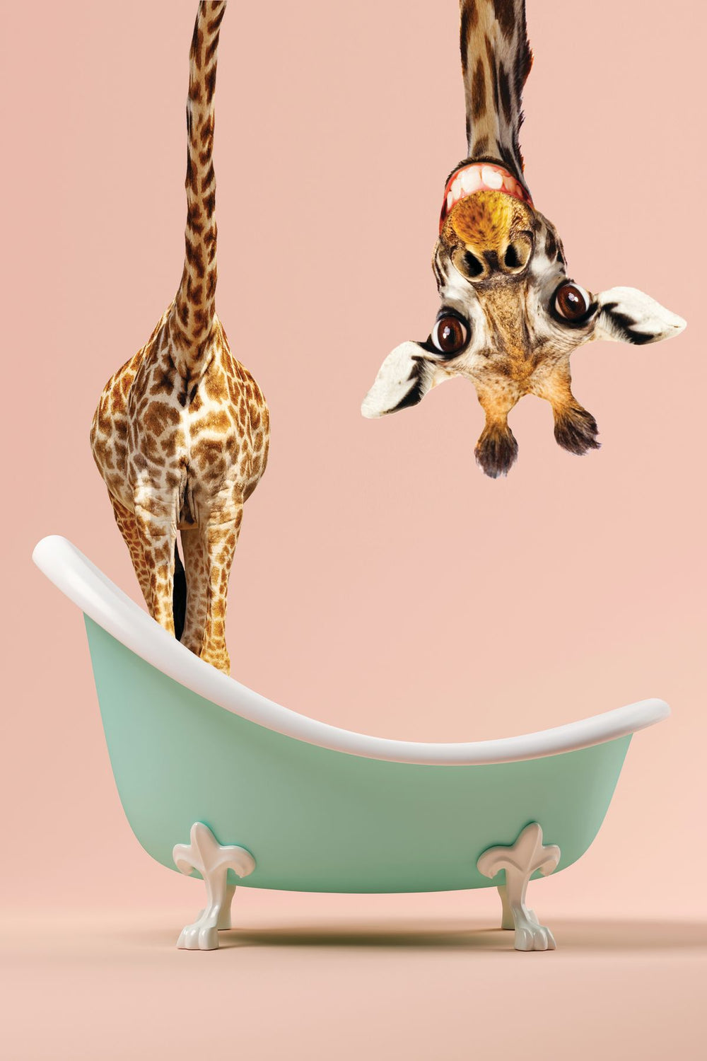 Bathtub Animal Silly Giraffe